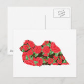 pekingisch postkarte (Vorne/Hinten)