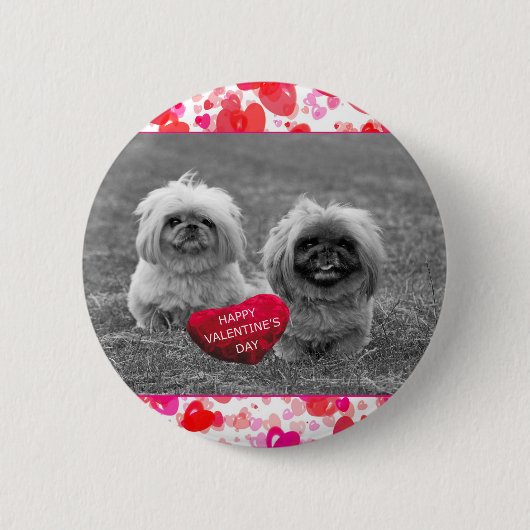 Pekingische Welpen wünschen Happy Valentine's Day Button (Vorderseite)