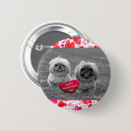 Pekingische Welpen wünschen Happy Valentine's Day Button (Vorne & Hinten)