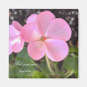 Pelargonie-Blumenmagnet addieren Text, den Sie Magnet