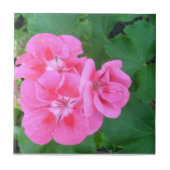 Pelargonie Fliese (Vorderseite)