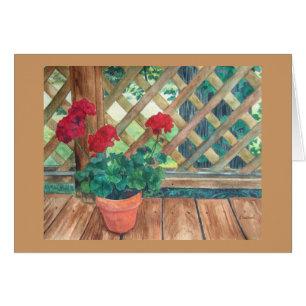 Pelargonie (Gärtner)