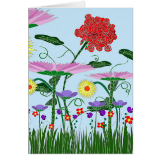 Pelargonie in meinem Garten