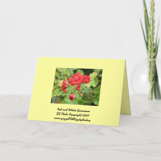 Pelargonie-Karte Karte (Rückseite)