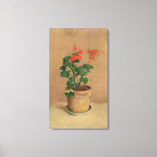 Pelargonien in einem Topf, c.1905 (Öl auf Leinwanddruck