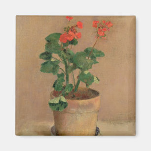Pelargonien in einem Topf, c.1905 (Öl auf Magnet