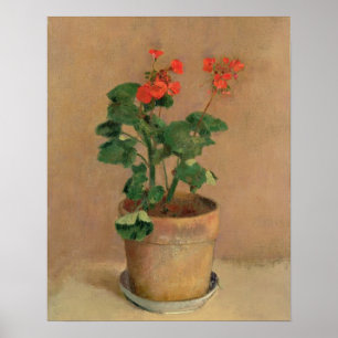 Pelargonien in einem Topf, c.1905 (Öl auf Poster