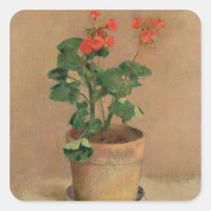 Pelargonien in einem Topf, c.1905 (Öl auf Quadratischer Aufkleber