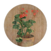 Pelargonien in einem Topf, c.1905 (Öl auf Schneidebrett (Vorderseite)