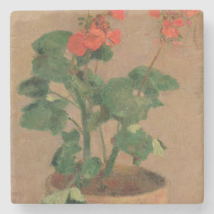 Pelargonien in einem Topf, c.1905 (Öl auf Steinuntersetzer