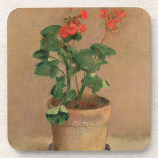 Pelargonien in einem Topf, c.1905 (Öl auf Untersetzer (Vorderseite)