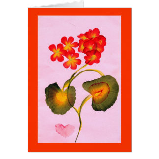 PELARGONIEN Karte