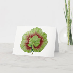 Pelargonium 'Geranium Leaf' Grußkarte Karte