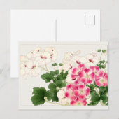 Pelargonium von Tanigami Konan Postkarte (Vorne/Hinten)