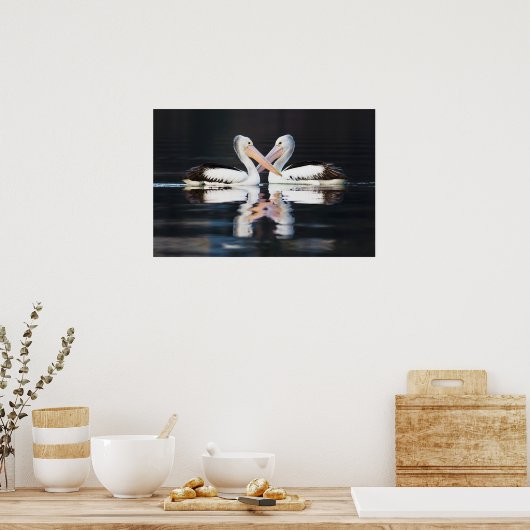 Pelecanus Conspicillatus Poster (Küche)