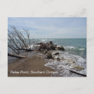 Pelee Point, Süd Ontario Postkarte