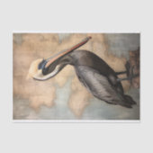 Pelican 1 Decoupage Seidenpapier (Vorderseite)