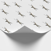 Pelican 3 geschenkpapier (Ecke)