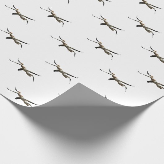 Pelican 3 geschenkpapier (Ecke)