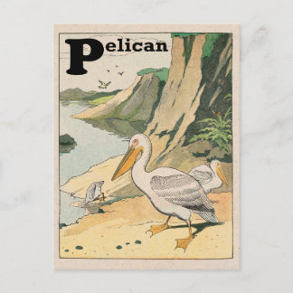 Pelican Alphabet Postkarte