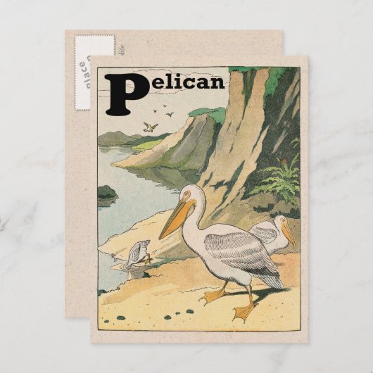 Pelican Alphabet Postkarte (Vorne/Hinten)