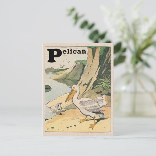 Pelican Alphabet Postkarte (Stehend Vorderseite)