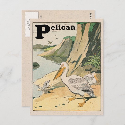 Pelican Alphabet Postkarte (Vorne/Hinten)
