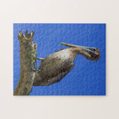 Pelican an einem Puzzle (Horizontal)