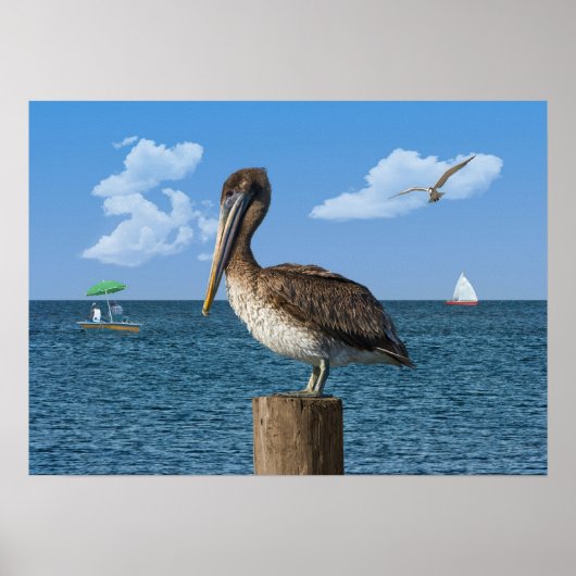 Pelican an Post Print oder Poser Poster (Vorne)