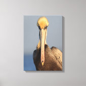 Pelican Attitude Leinwanddruck (Vorderseite)