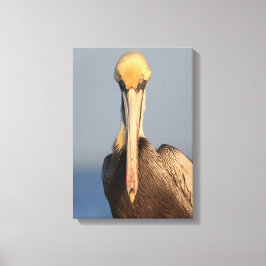Pelican Attitude Leinwanddruck