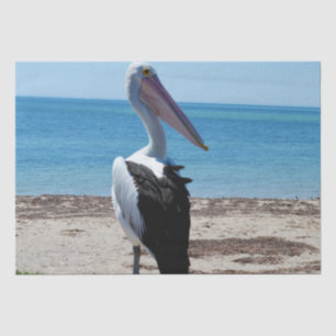 Pelican auf einem Felsen, Seidenpapier