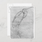 Pelican aus dem Vallardi-Album Postkarte (Vorne/Hinten)