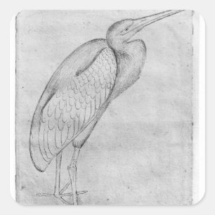 Pelican aus dem Vallardi-Album Quadratischer Aufkleber