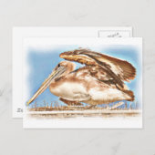 Pelican Awaits_ Postkarte (Vorne/Hinten)
