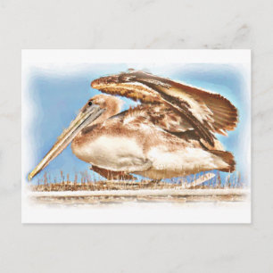 Pelican Awaits_ Postkarte