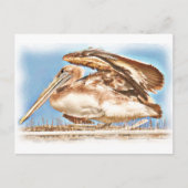 Pelican Awaits_ Postkarte (Vorderseite)