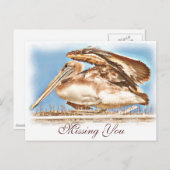 Pelican Awaits_ Postkarte (Vorne/Hinten)