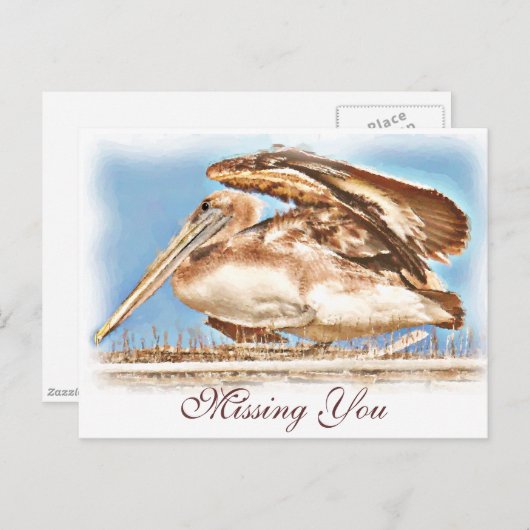 Pelican Awaits_ Postkarte (Vorne/Hinten)