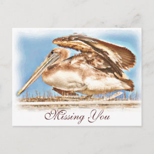 Pelican Awaits_ Postkarte