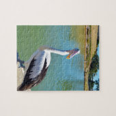 Pelican Back Chat, Jigsaw Puzzle (Horizontal)