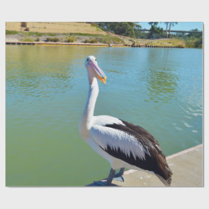 Pelican Back Chat, Packpapier
