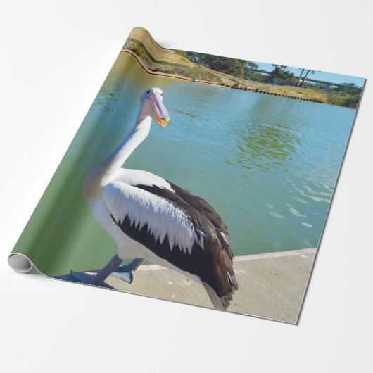 Pelican Back Chat, Packpapier (Ungerollt)