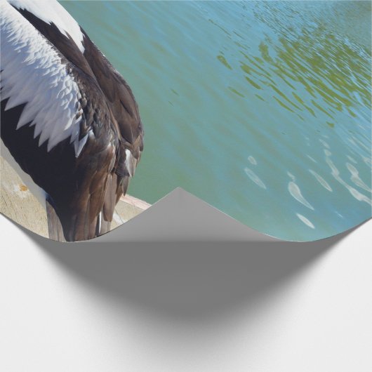Pelican Back Chat, Packpapier (Ecke)