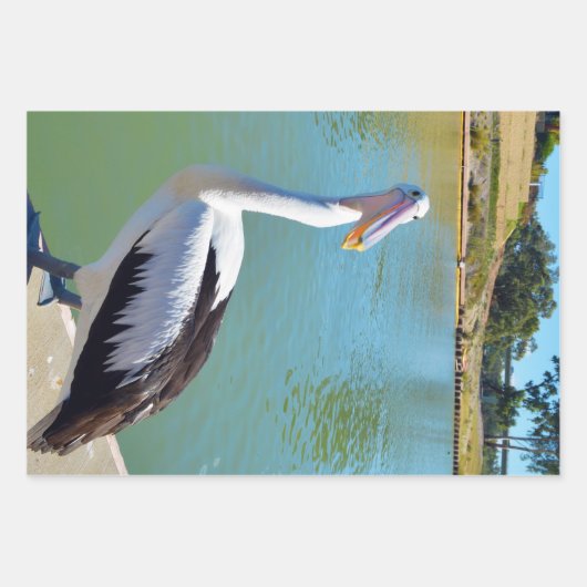 Pelican Back Chat, Packpapier Blätter (Vorderseite 2)