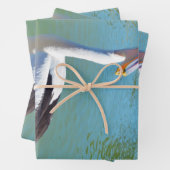 Pelican Back Chat, Packpapier Blätter (Beispiel)