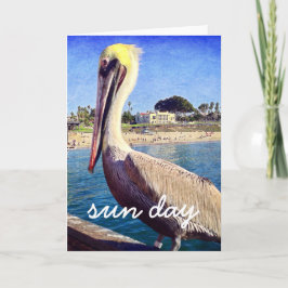 Pelican Beach Bird Foto Sun Day Script Modern Karte