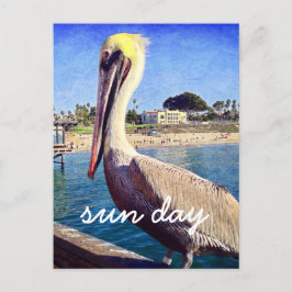 Pelican Beach Bird Foto Sun Day Stilvolle Schrift Postkarte