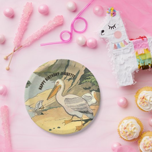 Pelican Beach Illustration Geburtstag Pappteller (Party)