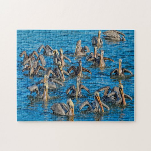 Pelican Bird Florida. Puzzle (Horizontal)